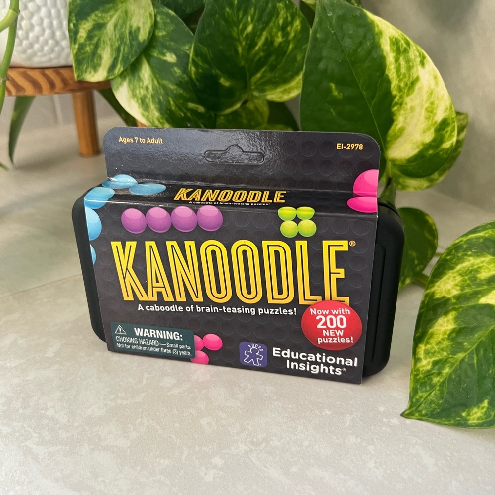 Educational Insights Kanoodle 3D Brain Teaser Puzzle Game 200 Challenges